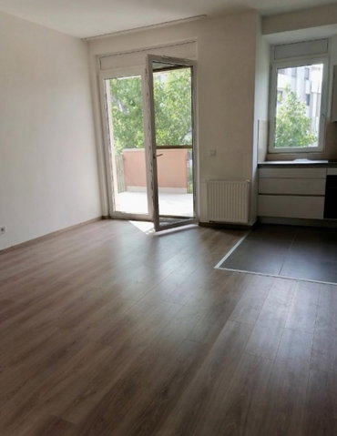 Kiadó téglalakás, albérlet, XI. kerületben, Pálinkás Antal utcában