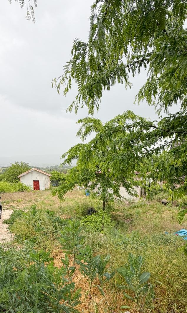 425m² · 2.800.000 ft