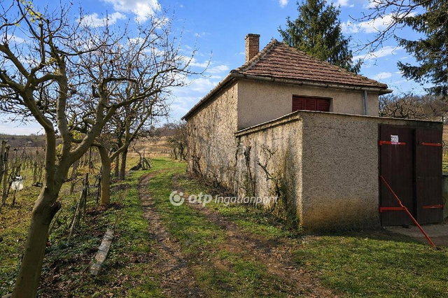 Eladó mezogazdasagi ingatlan, Káptalantótin 35 M Ft