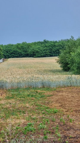Eladó telek, Nyírtelken 39.9 M Ft / költözzbe.hu