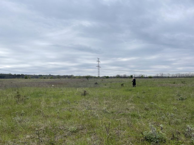 Eladó mezogazdasagi ingatlan, Szadán 5.9 M Ft