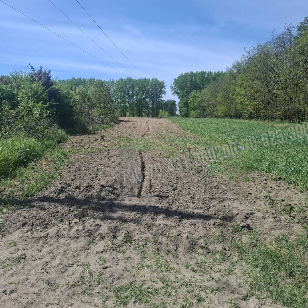 Eladó mezogazdasagi ingatlan – Albertirsa, Kakasi dűlő
