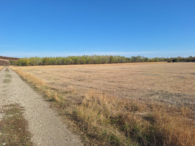 Eladó mezogazdasagi ingatlan, Hódmezővásárhelyen 3.1 M Ft