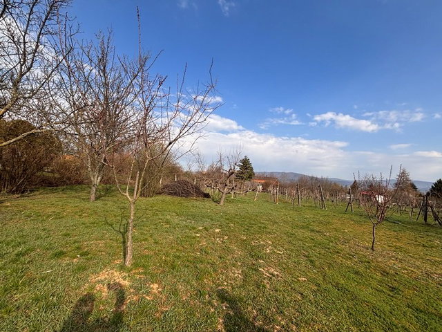 Eladó sorház, Pellérden 19.9 M Ft / költözzbe.hu