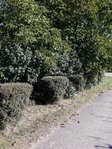 Eladó telek, Tápiószelén 1.8 M Ft / költözzbe.hu