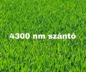 Eladó mezogazdasagi ingatlan, Szatymazon 1.9 M Ft