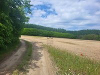 Eladó mezogazdasagi ingatlan, Pilisen 6 M Ft / költözzbe.hu