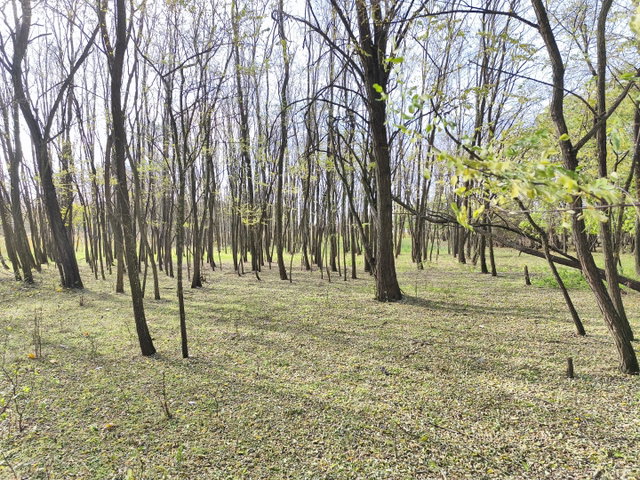 Eladó telek, Farmoson 9.9 M Ft / költözzbe.hu