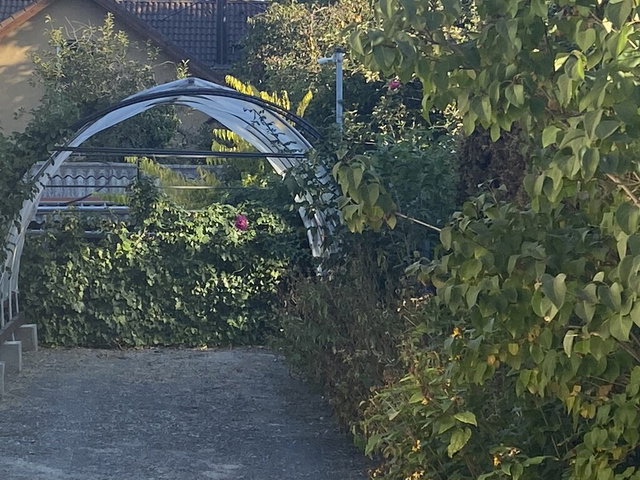 Eladó családi ház, Sződligeten 150 M Ft, 3 szobás