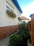 Eladó családi ház, Taksonyon 125 M Ft, 6 szobás