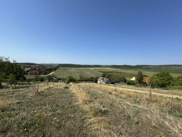 Eladó mezogazdasagi ingatlan, Balatonszőlősön 35 M Ft
