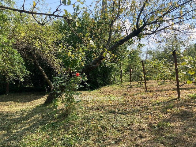 Eladó telek, Miskolcon 0.99 M Ft / költözzbe.hu