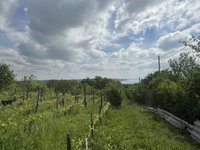 Eladó telek, Balatonalmádiban 48 M Ft / költözzbe.hu