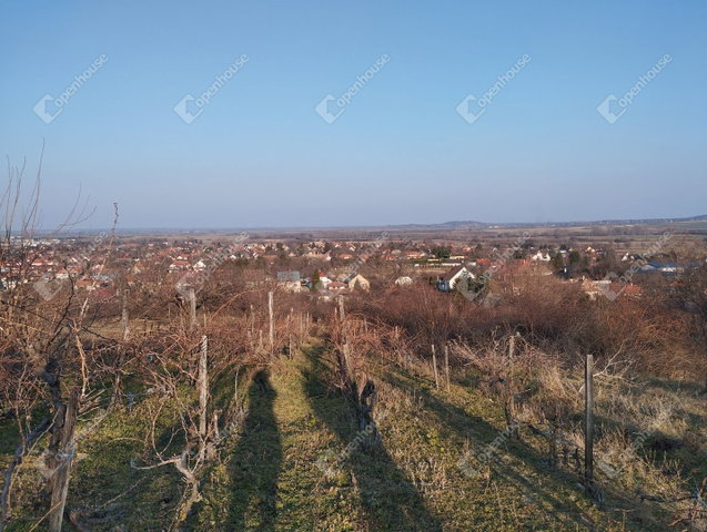 Eladó telek, Nyúlon 15 M Ft / költözzbe.hu