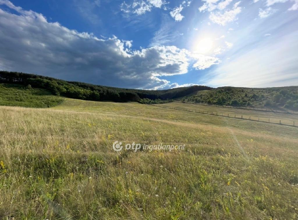 6049m² · 23.000.000 ft