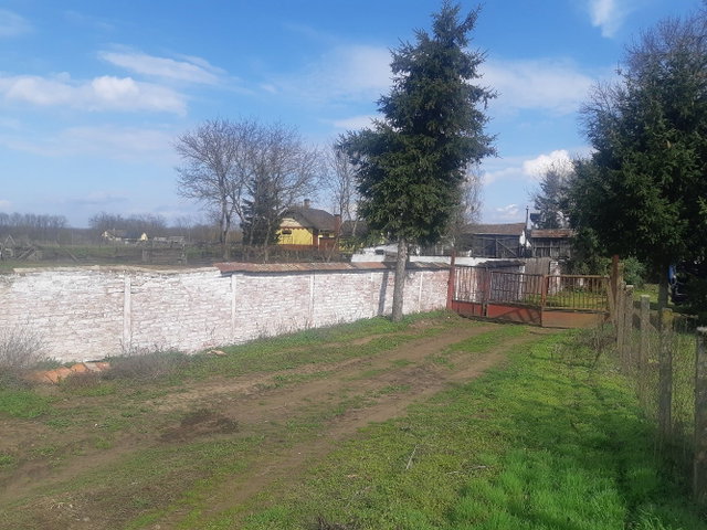 Eladó mezogazdasagi ingatlan, Debrecenben 80 M Ft