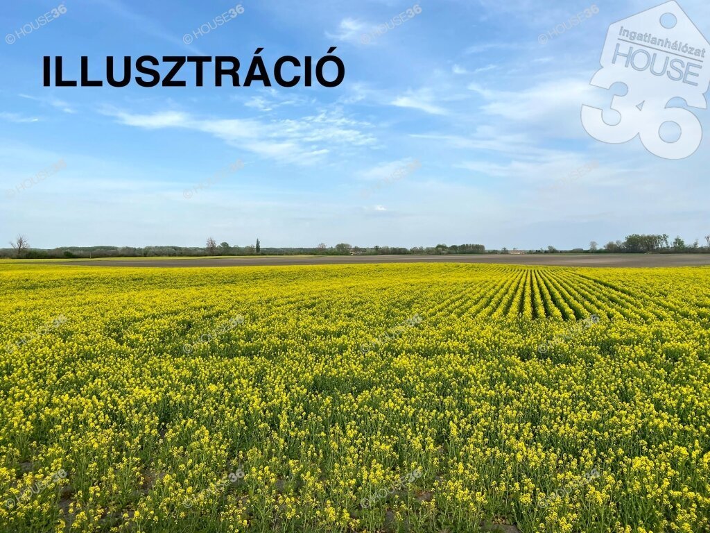 175m² · 38.000.000 ft
