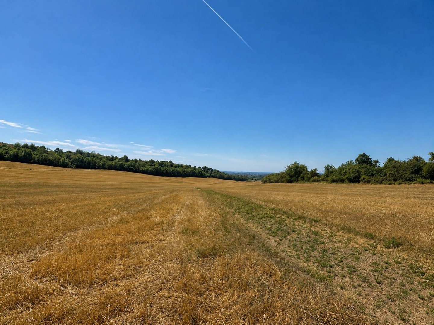Telek · 760 m² · 30.000.000 Ft
