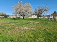 Eladó mezogazdasagi ingatlan, Halásztelken 26.9 M Ft