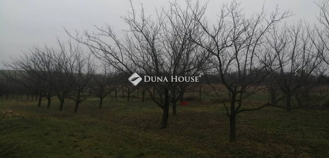 Eladó mezogazdasagi ingatlan, Vérteskethelyen 14.6 M Ft