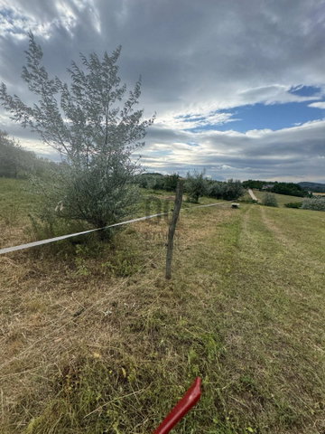 Eladó telek, Piliscsabán 40 M Ft / költözzbe.hu