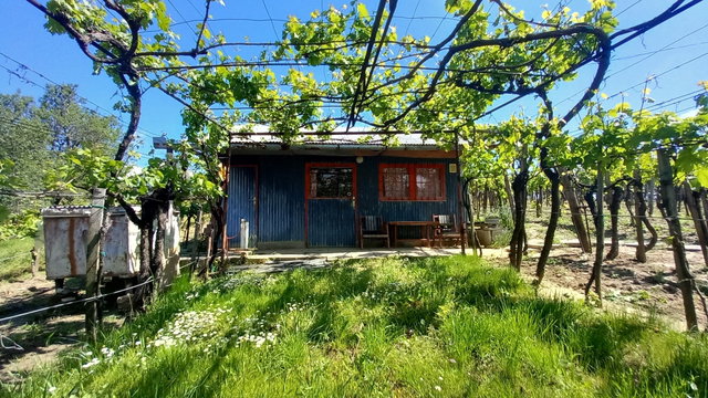Eladó mezogazdasagi ingatlan, Szekszárdon 4.2 M Ft
