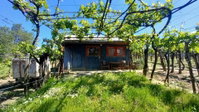 Eladó mezogazdasagi ingatlan, Szekszárdon 4.2 M Ft