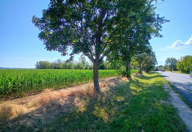 Eladó ipari ingatlan, Balatonszárszón 50 M Ft