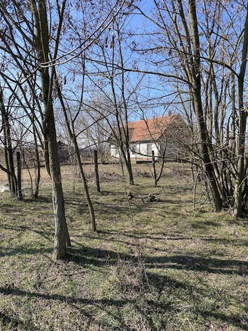 Eladó mezogazdasagi ingatlan, Lajosmizsén 75 M Ft