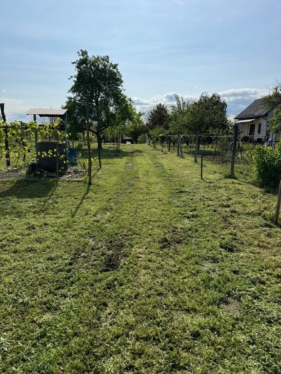 3675 m² · 61.900.000 Ft