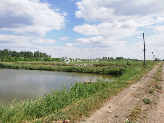 Eladó mezogazdasagi ingatlan, Tiszasülyön 450 M Ft
