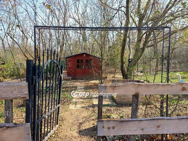 Eladó mezogazdasagi ingatlan, Tökön 335 M Ft