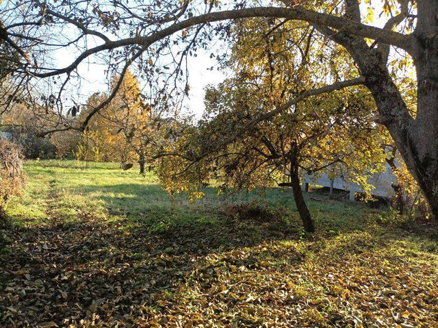 Eladó családi ház, Isaszegen 189 M Ft, 6 szobás