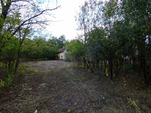 Eladó mezogazdasagi ingatlan, Mórahalmon 39.9 M Ft