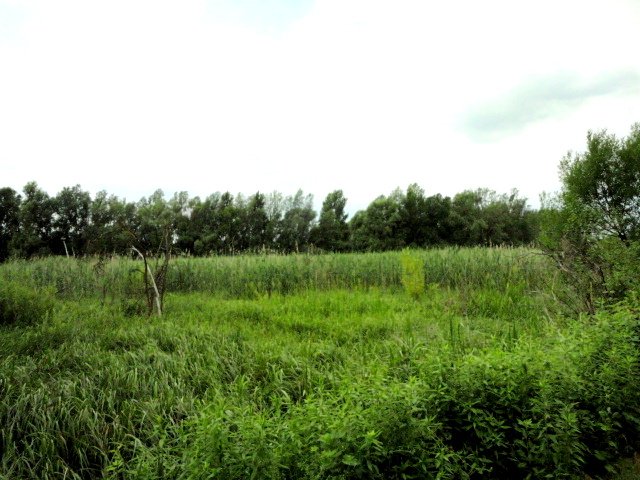 Eladó telek, Vonyarcvashegyen 80.08 M Ft / költözzbe.hu