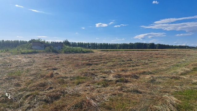 Eladó mezogazdasagi ingatlan, Hernádcécén 10 M Ft