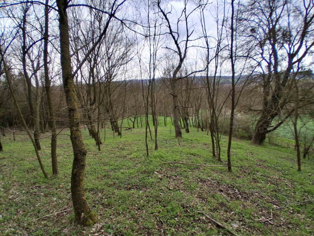Eladó telek, Szentgyörgyváron 5.5 M Ft / költözzbe.hu