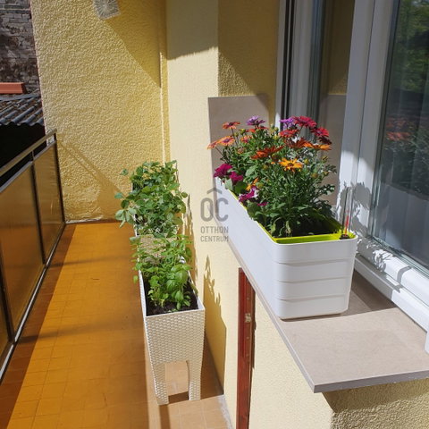 Eladó téglalakás, Budapesten, XX. kerületben 63.5 M Ft, 2 szobás