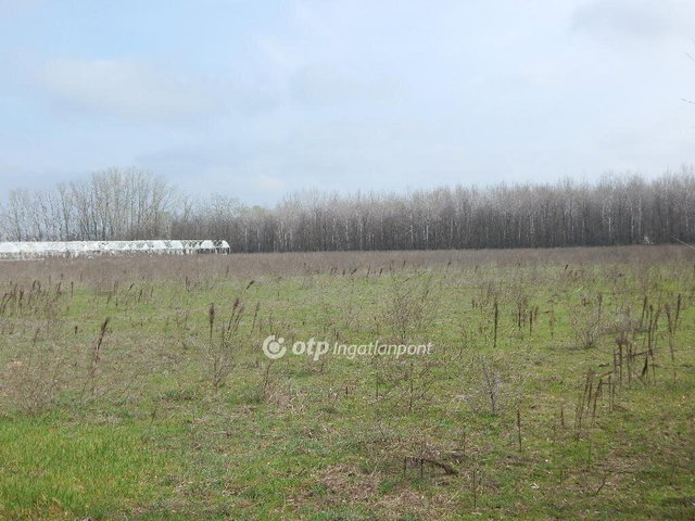 Eladó mezogazdasagi ingatlan, Nyársapáton 320 M Ft