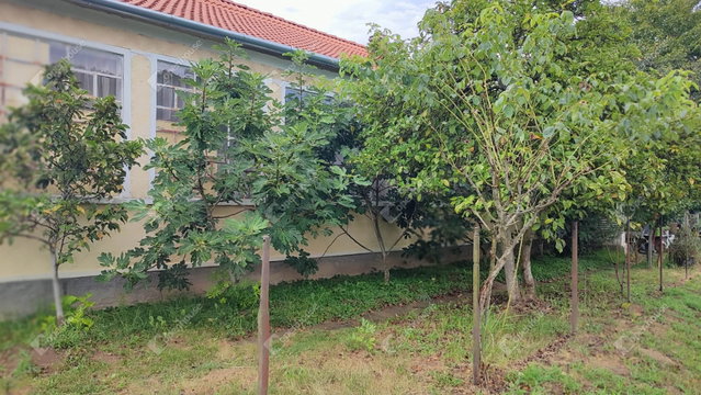 Eladó családi ház, Vízváron 18 M Ft, 2 szobás