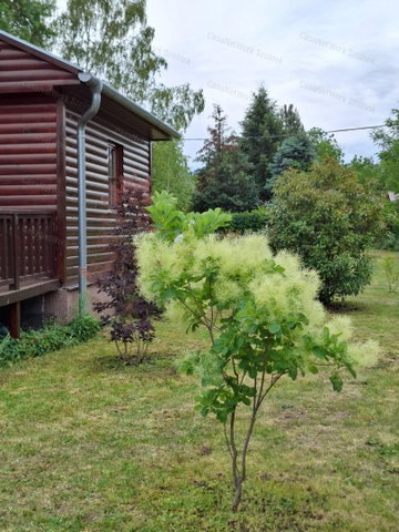 Eladó nyaraló, Szolnokon 29.5 M Ft, 1 szobás