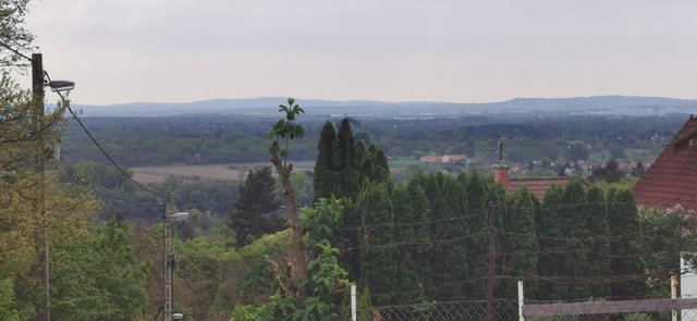 Eladó telek, Leányfaluban 25 M Ft / költözzbe.hu