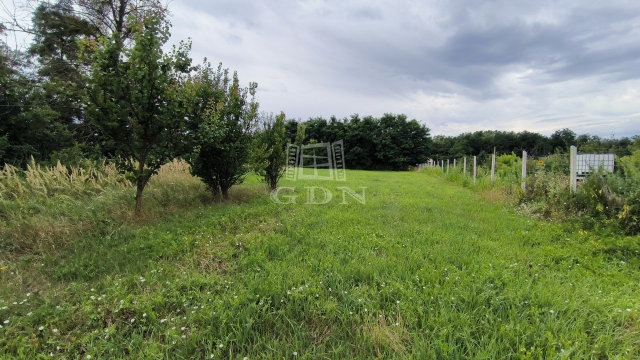 Eladó telek, Beleznán 3.3 M Ft / költözzbe.hu