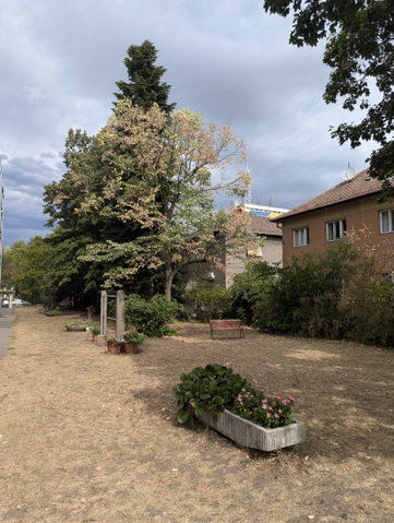 Kiadó téglalakás, albérlet, Budapesten, XIV. kerületben