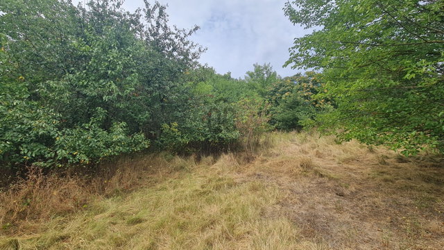 Eladó mezogazdasagi ingatlan, Pakson 4.9 M Ft