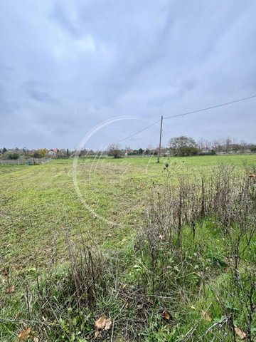 Eladó telek, Pécsett, Széna utcában 2.5 M Ft