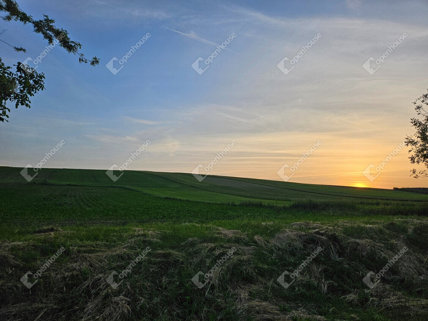 734m² · 8.000.000 ft