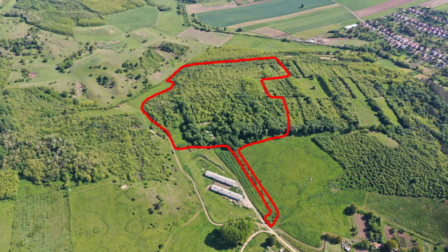 Eladó telek, Nógrádsápon 400 M Ft / költözzbe.hu