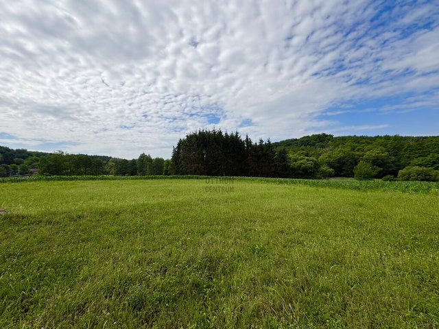 Eladó családi ház, Ozmánbükön 5.9 M Ft, 1 szobás