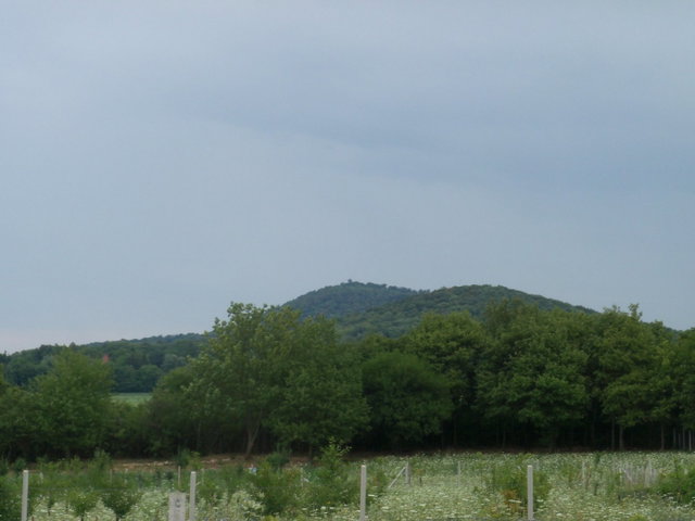 Eladó telek, Nagykovácsiban 284.77 M Ft / költözzbe.hu
